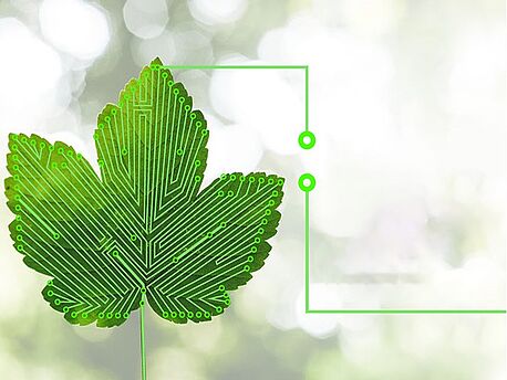 Call for Paper: Digitalization for sustainability transformations: Critical perspectives, lessons learned, and future prospects
